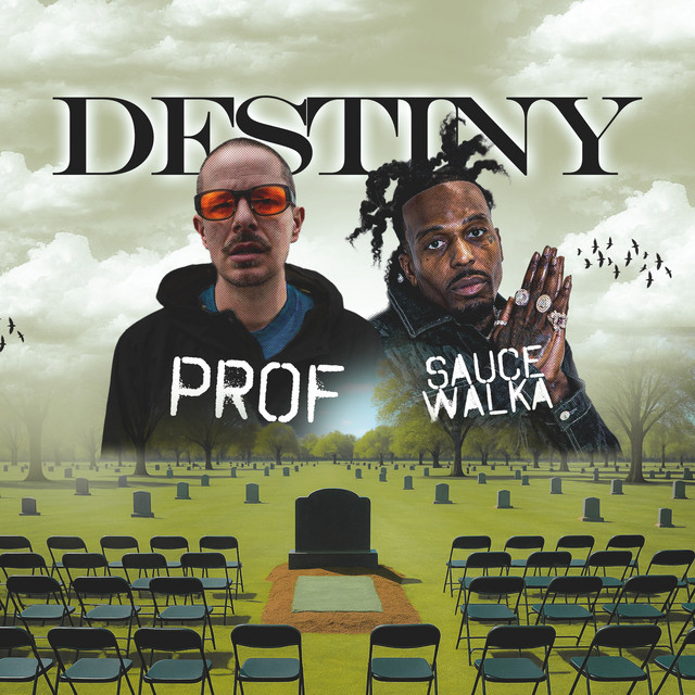 'Destiny (with Sauce Walka)' cover art