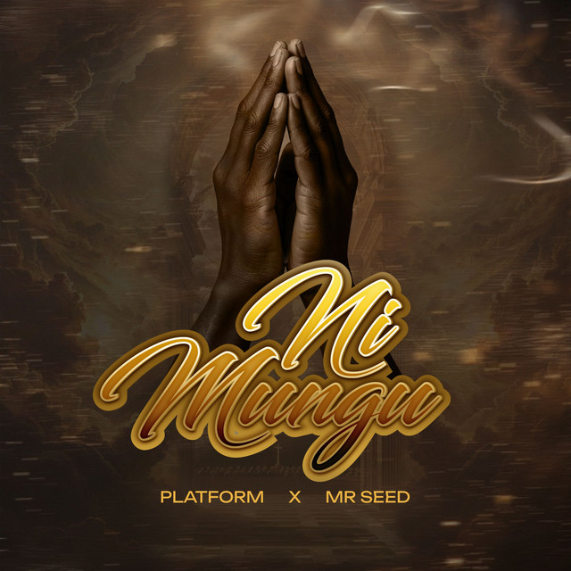 'Ni Mungu (feat. Mr Seed)' cover art