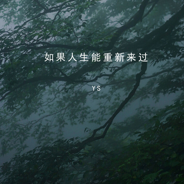 '如果人生能重新来过' cover art