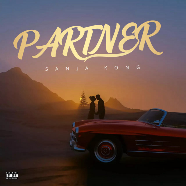 'Partner' cover art