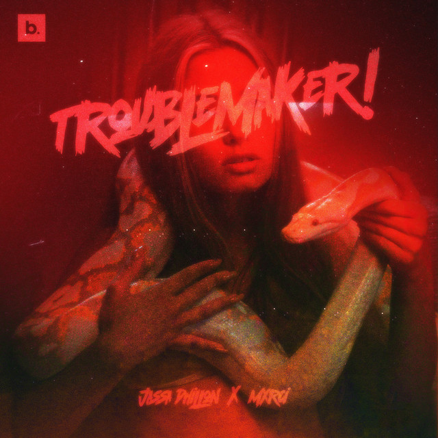 'Trouble Maker' cover art