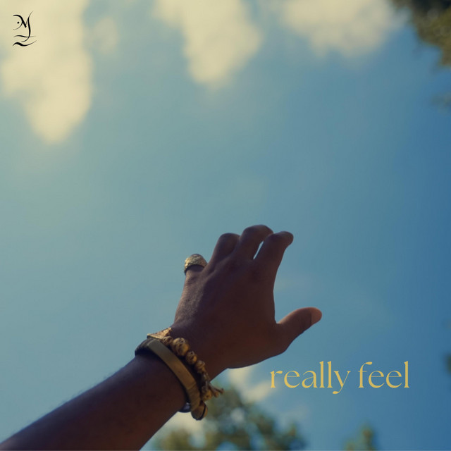 'Really Feel?' cover art