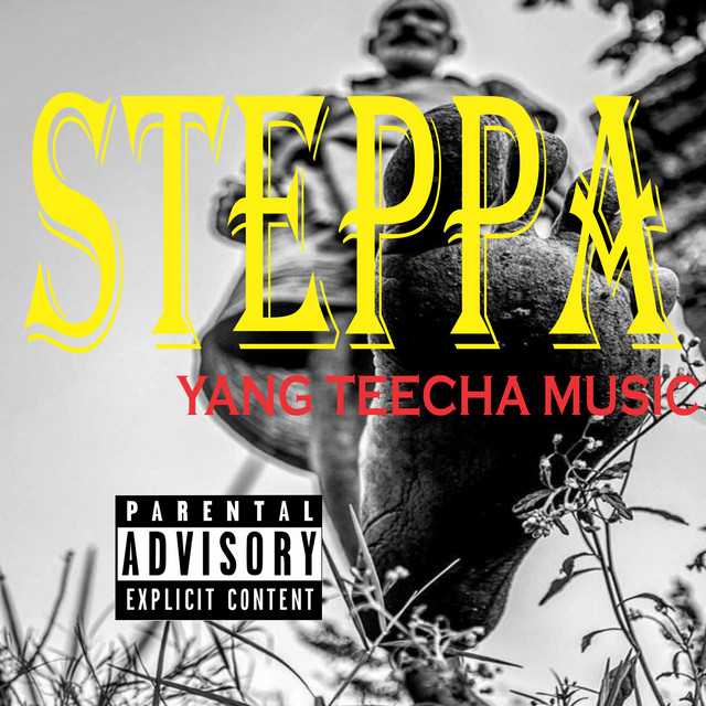 'STEPPA' cover art