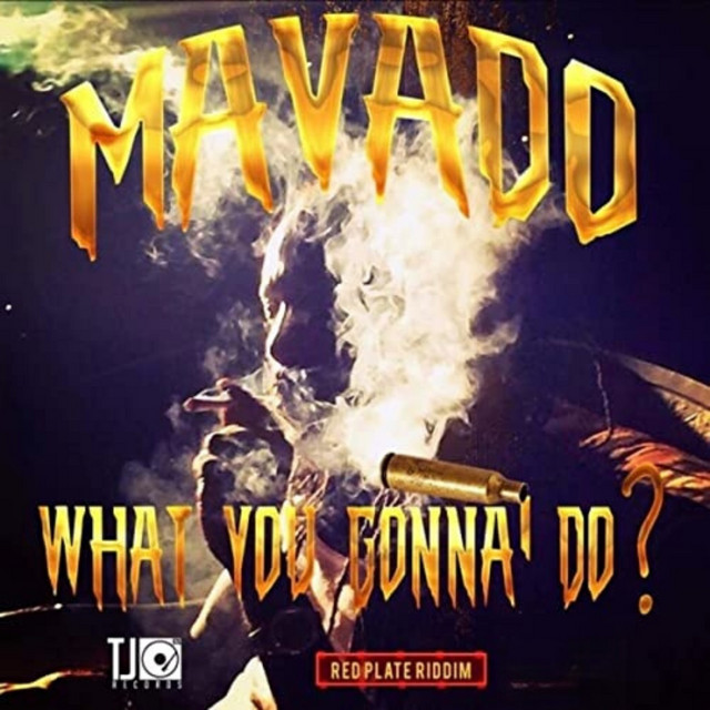 'What You Gonna Do' cover art