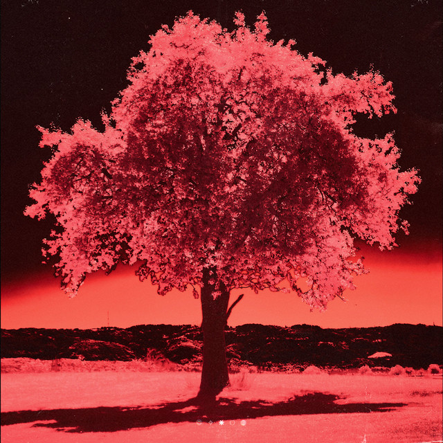 'samurai' cover art