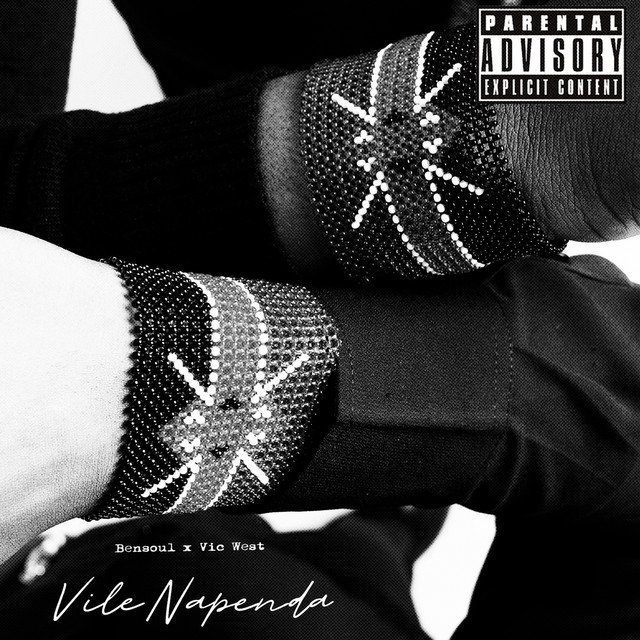 'VILE NAPENDA' cover art
