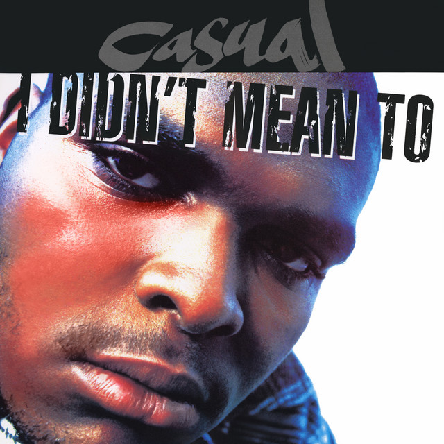 'I Didn't Mean To' cover art