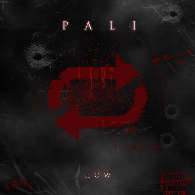 'PALI' cover art