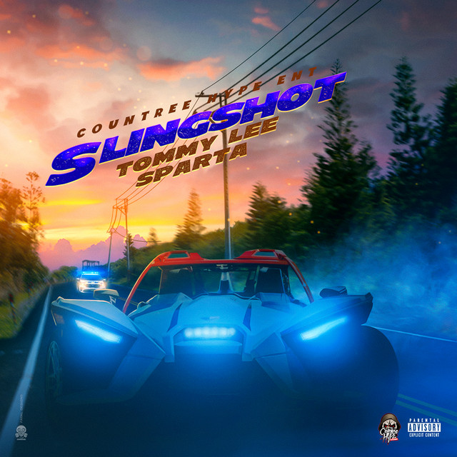 'Slingshot' cover art