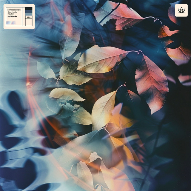'Light Leaks' cover art