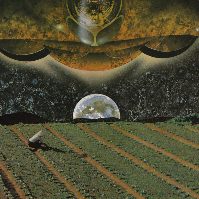 'BLOSSOM' cover art