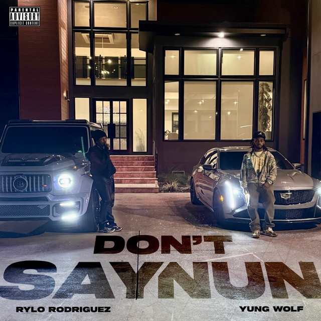 'DON'T SAY NUN' cover art