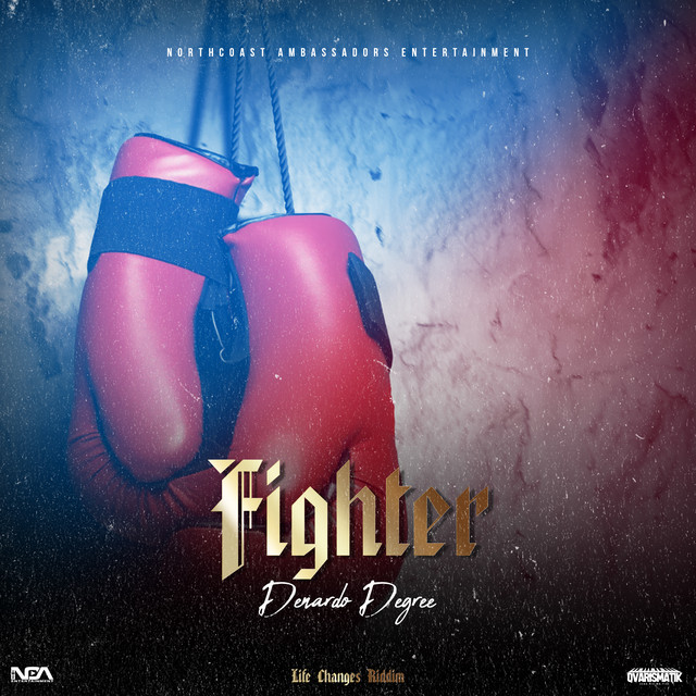 'Fighter' cover art