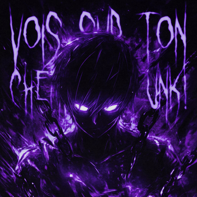 'VOIS SUR TON CHEMIN PR FUNK!' cover art