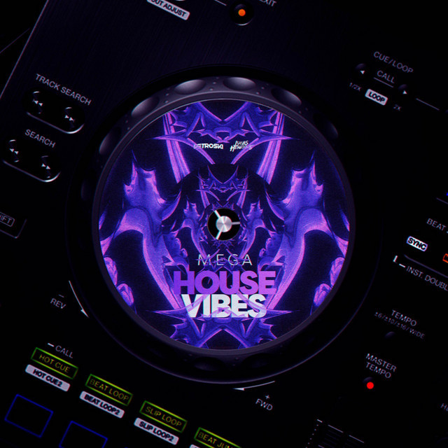 'Mega House Vibes' cover art
