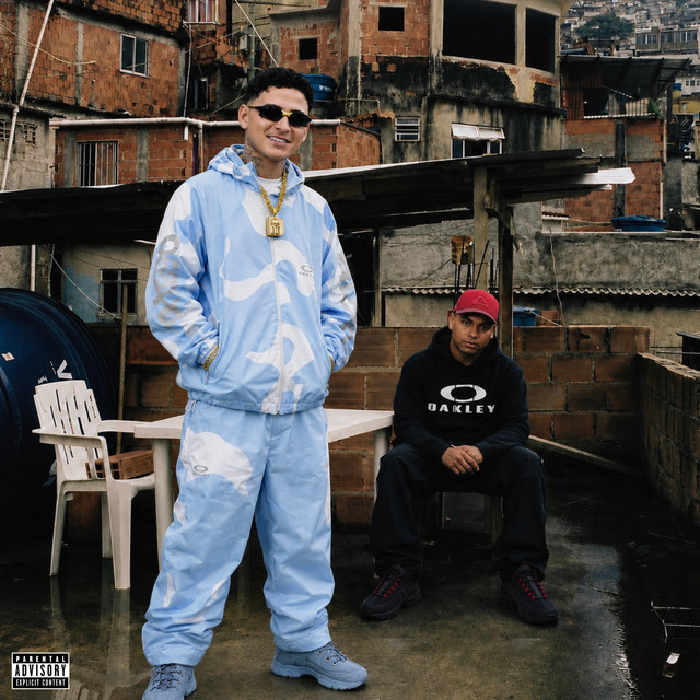 'Seu Lar Remix' cover art