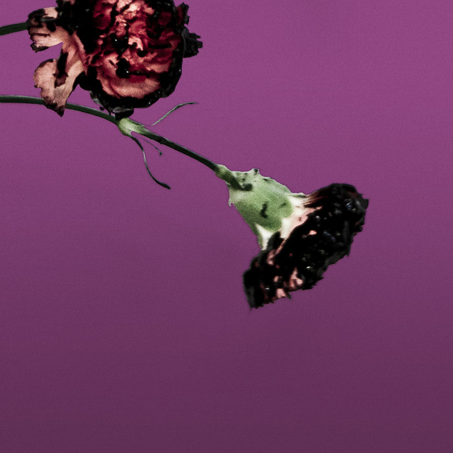 'You & I (Nobody in the World) [R3hab Remix - Radio Edit]' cover art
