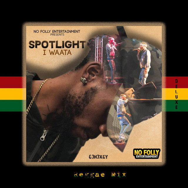 'Spotlight (Reggae Mix)' cover art