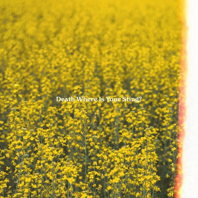 'Death Where Is Your Sting?' cover art