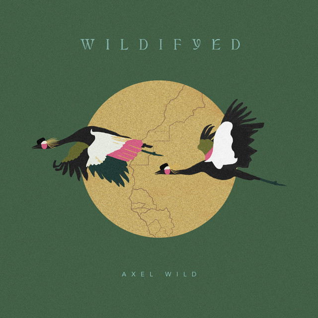 'Wildfyed' cover art