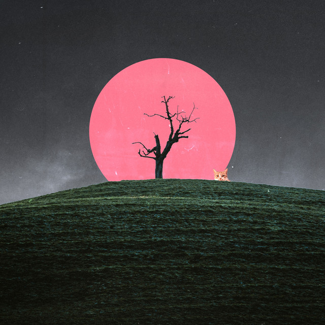 'silently watching' cover art