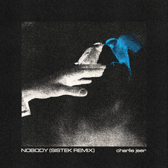 'Nobody (Sistek Remix)' cover art