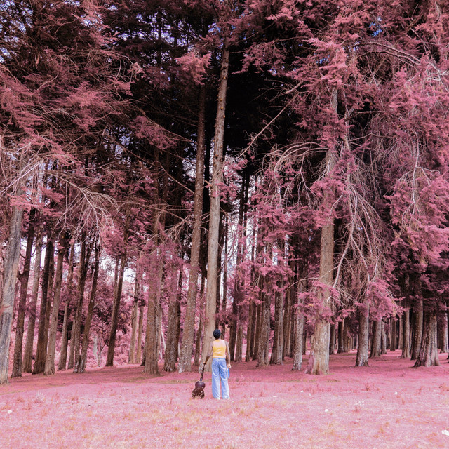 'A Yearner's Tale' cover art