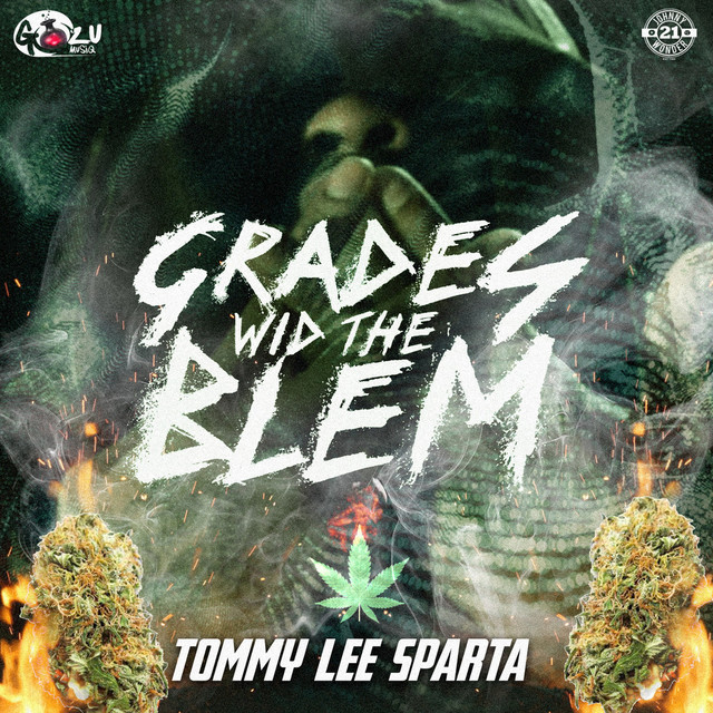'Grades wid the Blem' cover art