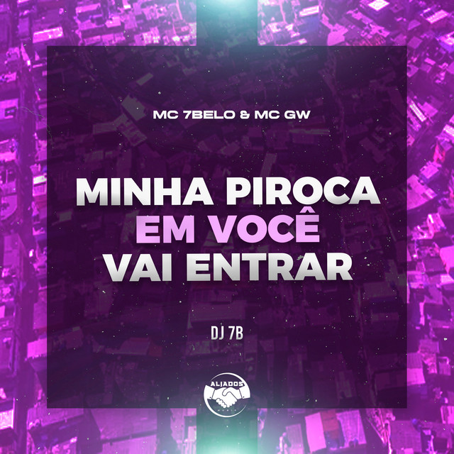 'Minha Piroca em Voce Vai Entrar' cover art