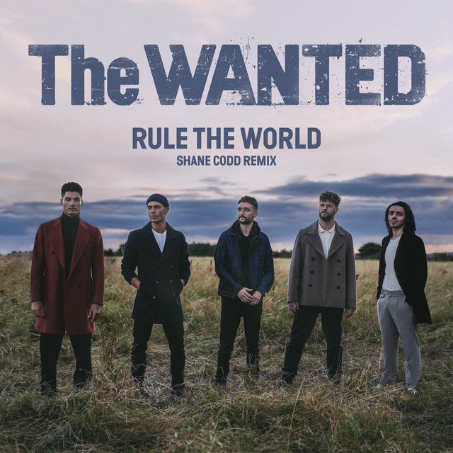 'Rule The World (Shane Codd Remix)' cover art