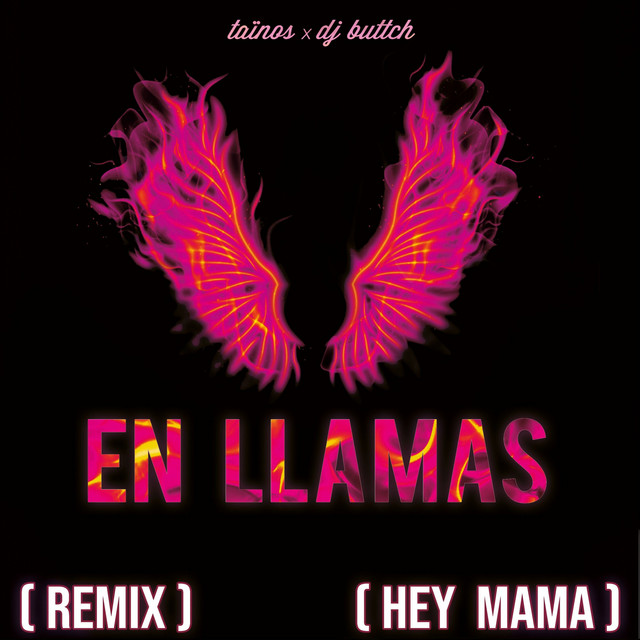 'En Llamas (Hey Mama) [Remix]' cover art