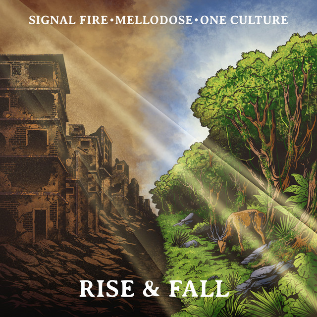 'Rise & Fall' cover art