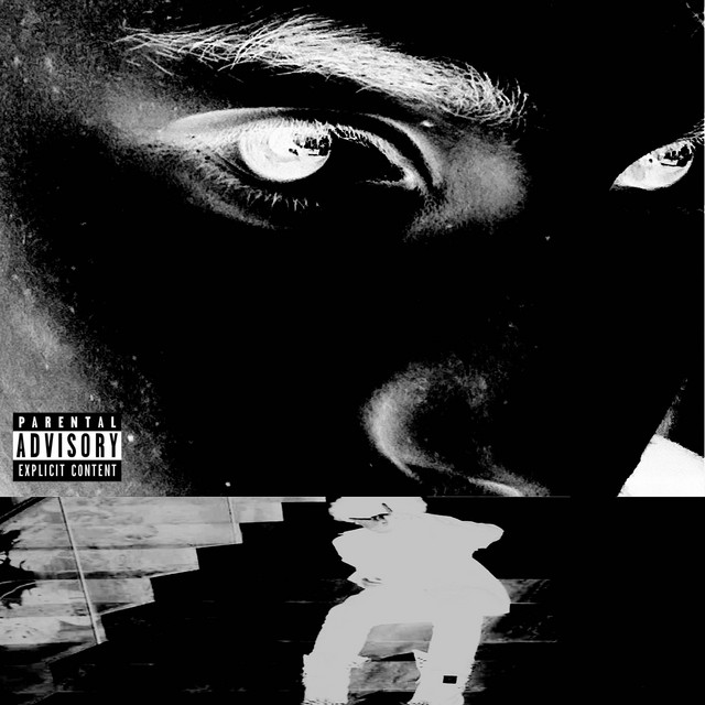 'MOLLY' cover art