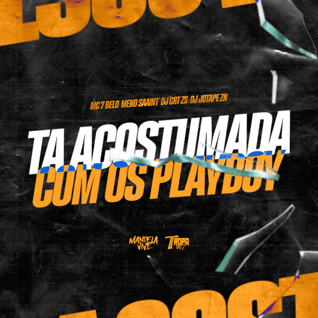 'Ta acostumada com os Playboy' cover art