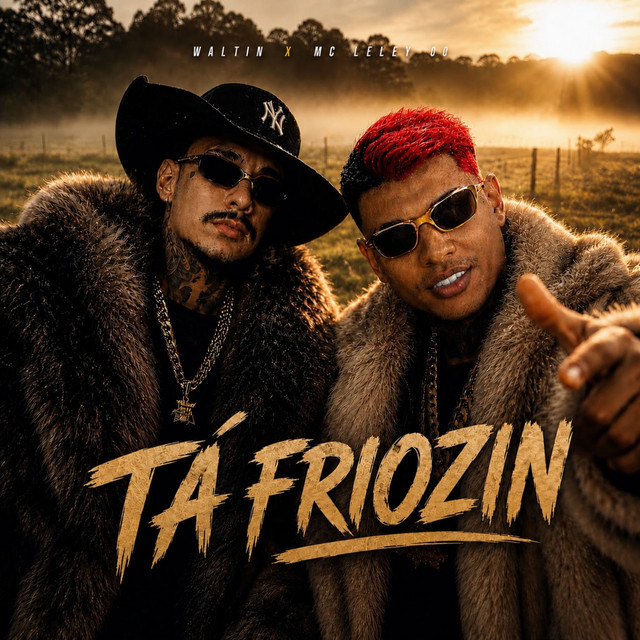 'Ta Friozin' cover art