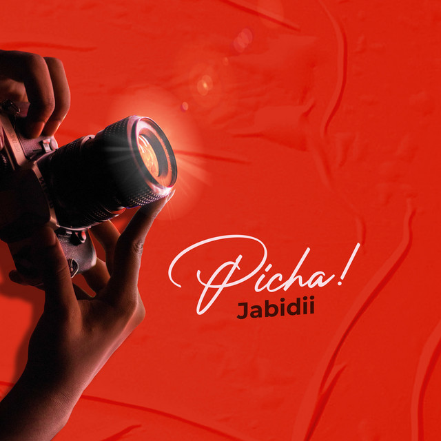 'Picha' cover art