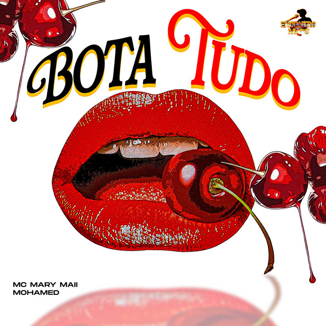 'Bota Tudo' cover art