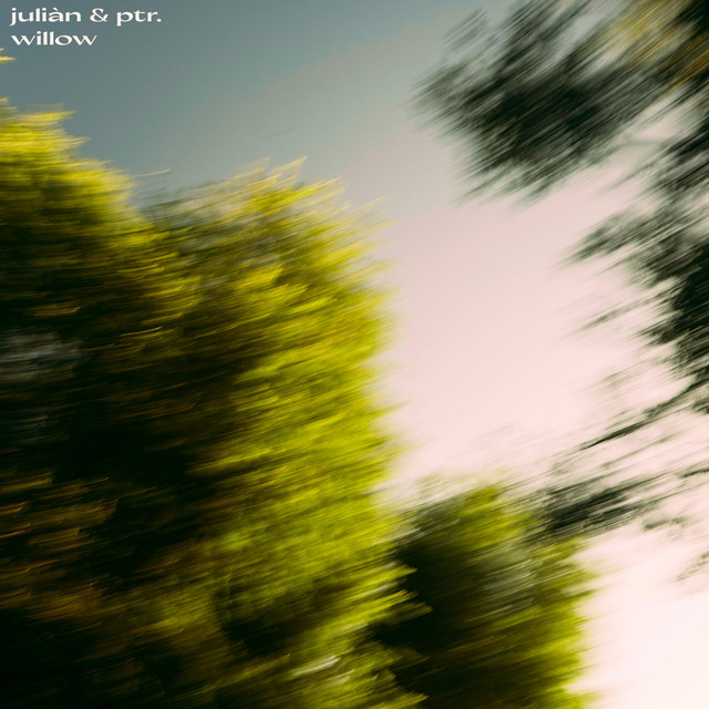 'Willow' cover art