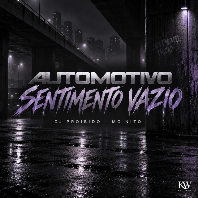 'Automotivo Sentimento Vazio' cover art