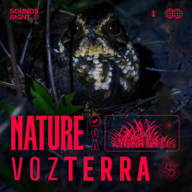 'Colombian Late Night Nature' cover art
