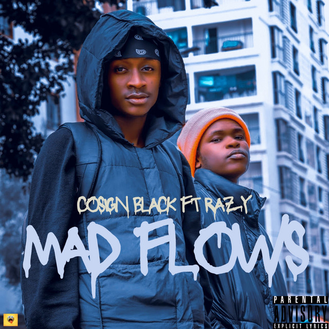 'MAD FLOWS' cover art