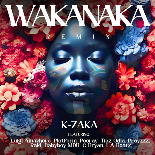 'Wakanaka (feat. Peeray, Tiaz Odia, PrayzzZ, Rald, Babyboy MDB, C Bryan & LA Beatz) [Remix]' cover art