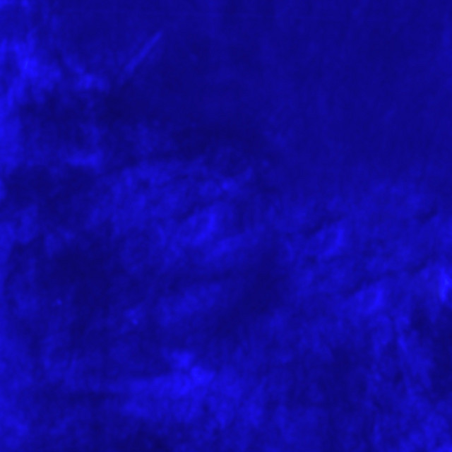 'Untitled 2/Praise and Worship' cover art