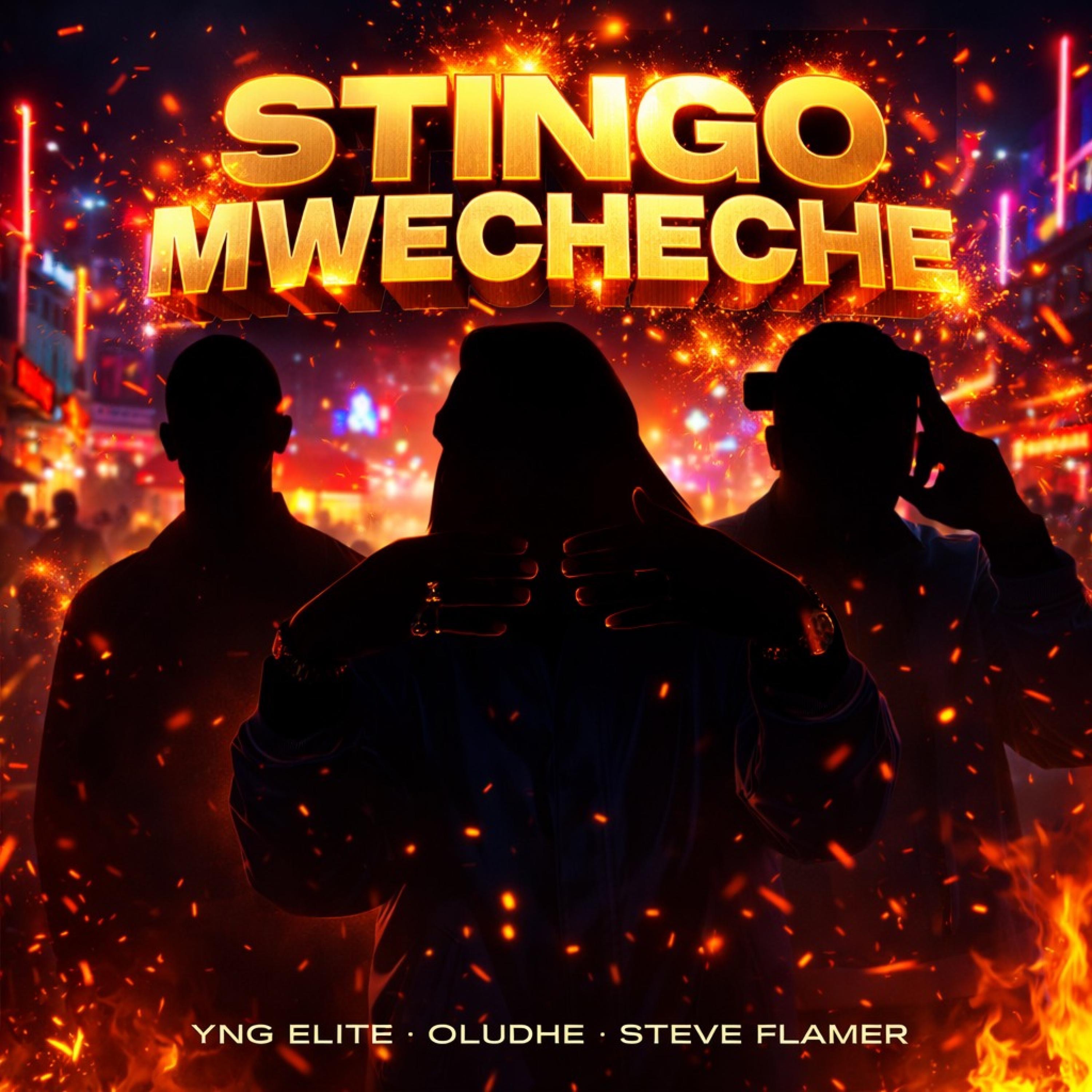Stingo Mwecheche. cover art