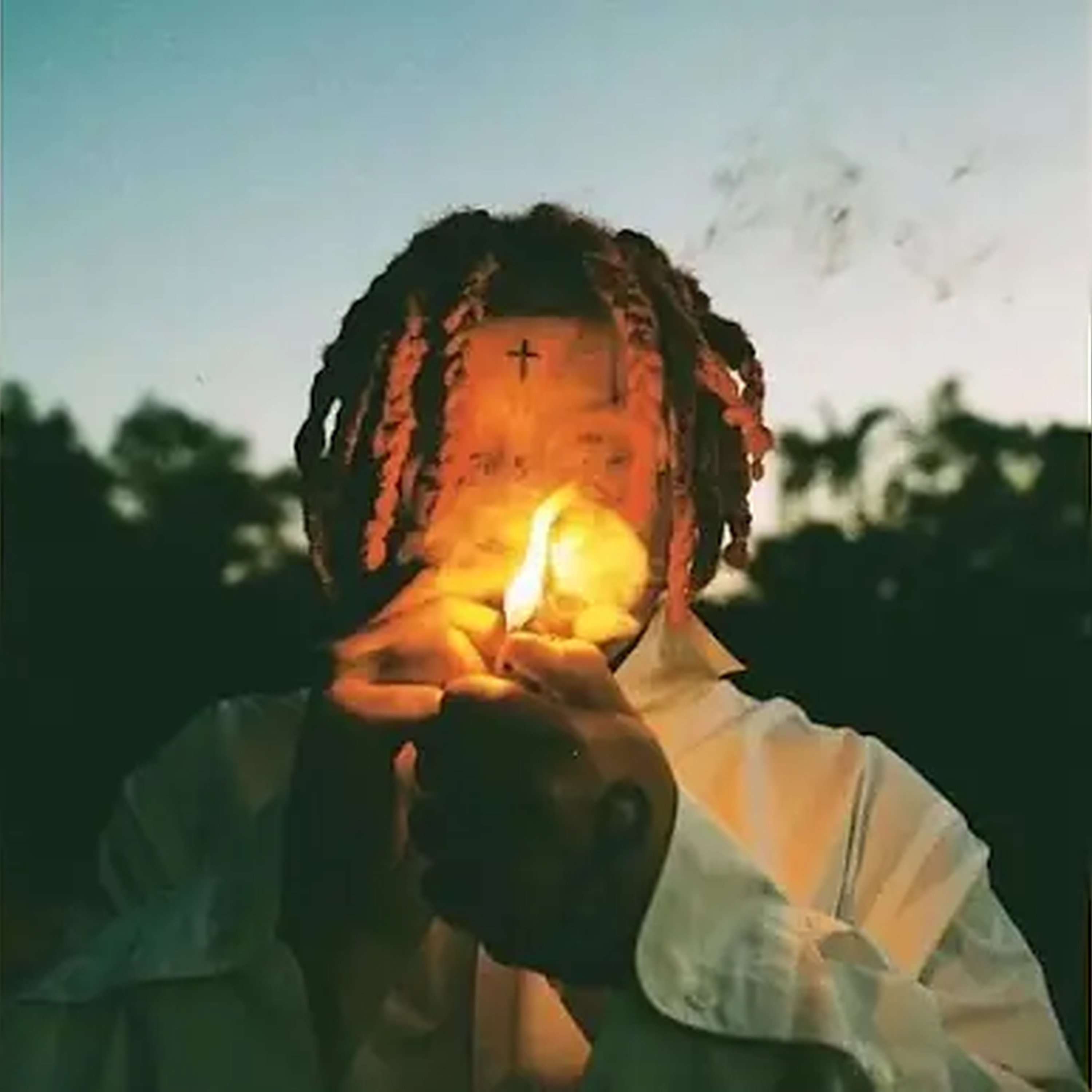 Vices cover art