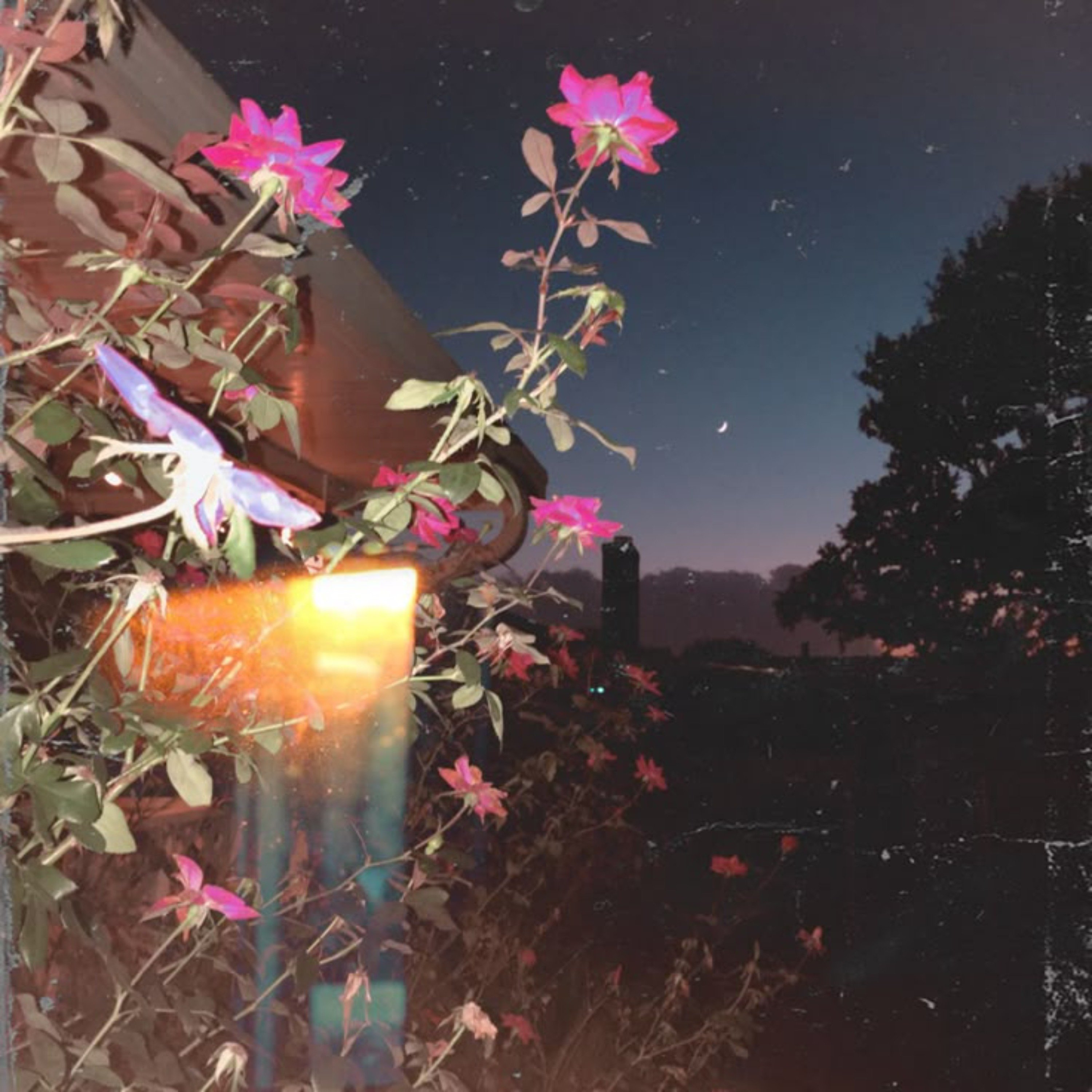 Pills and Parachutes cover art