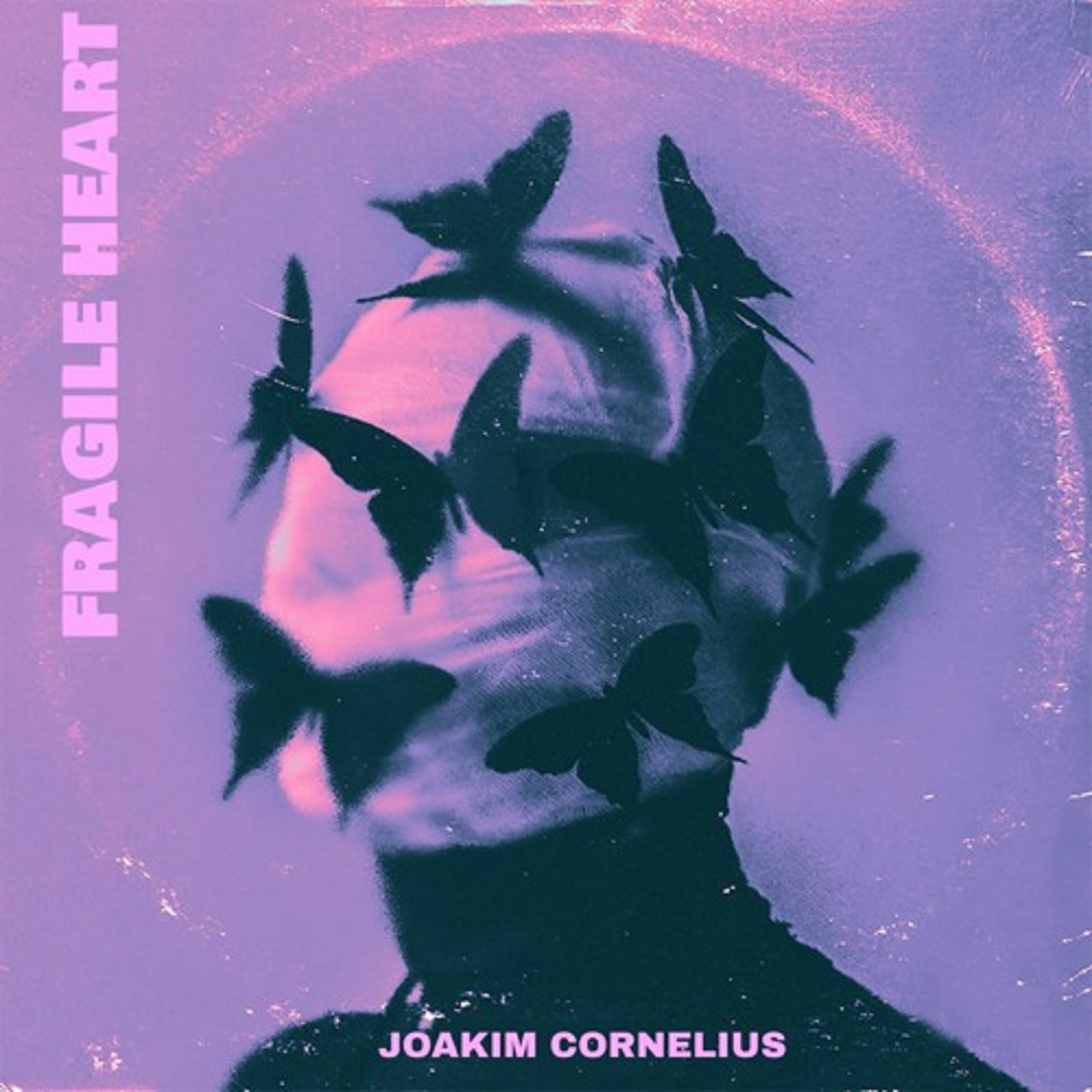 Paradise cover art