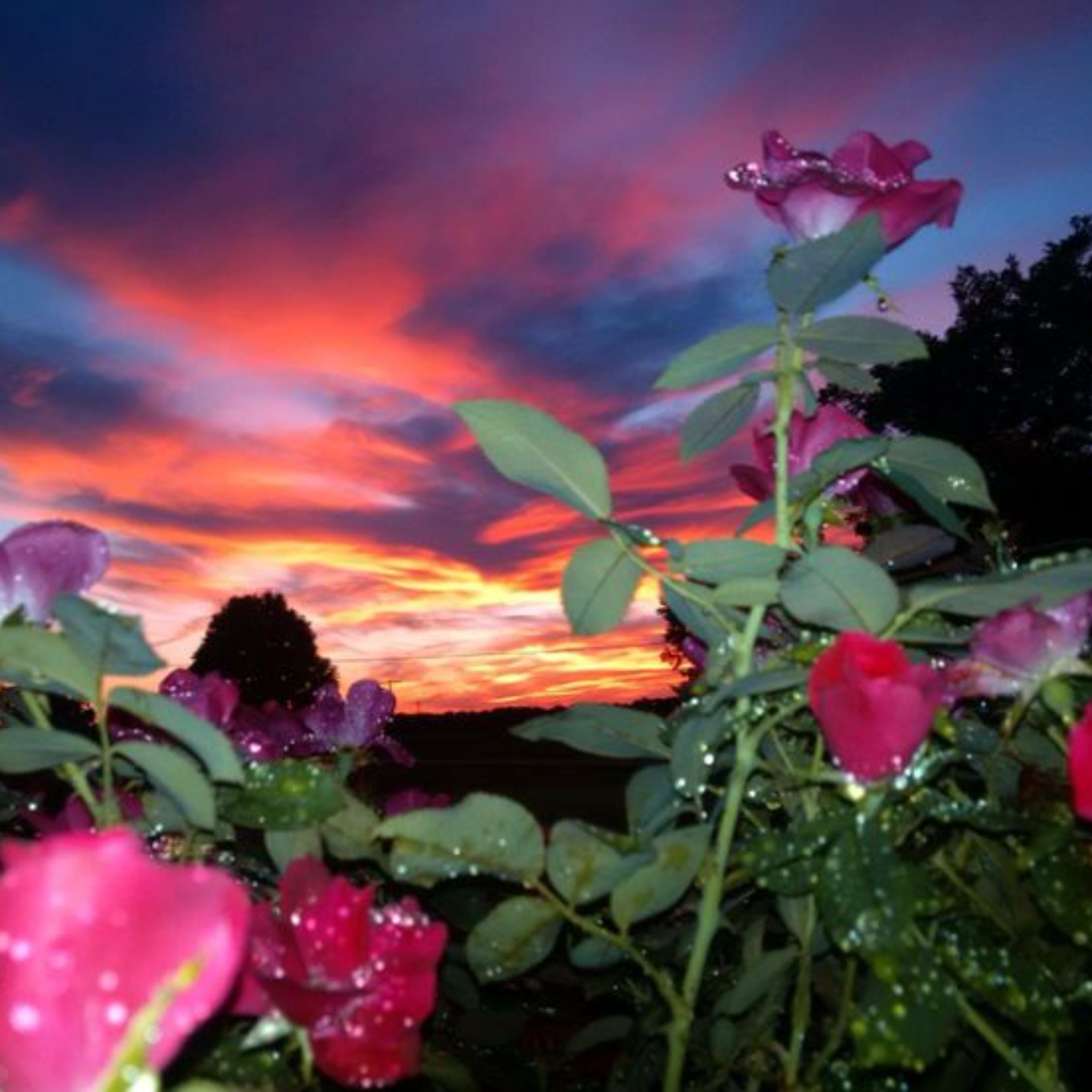 Better Off cover art